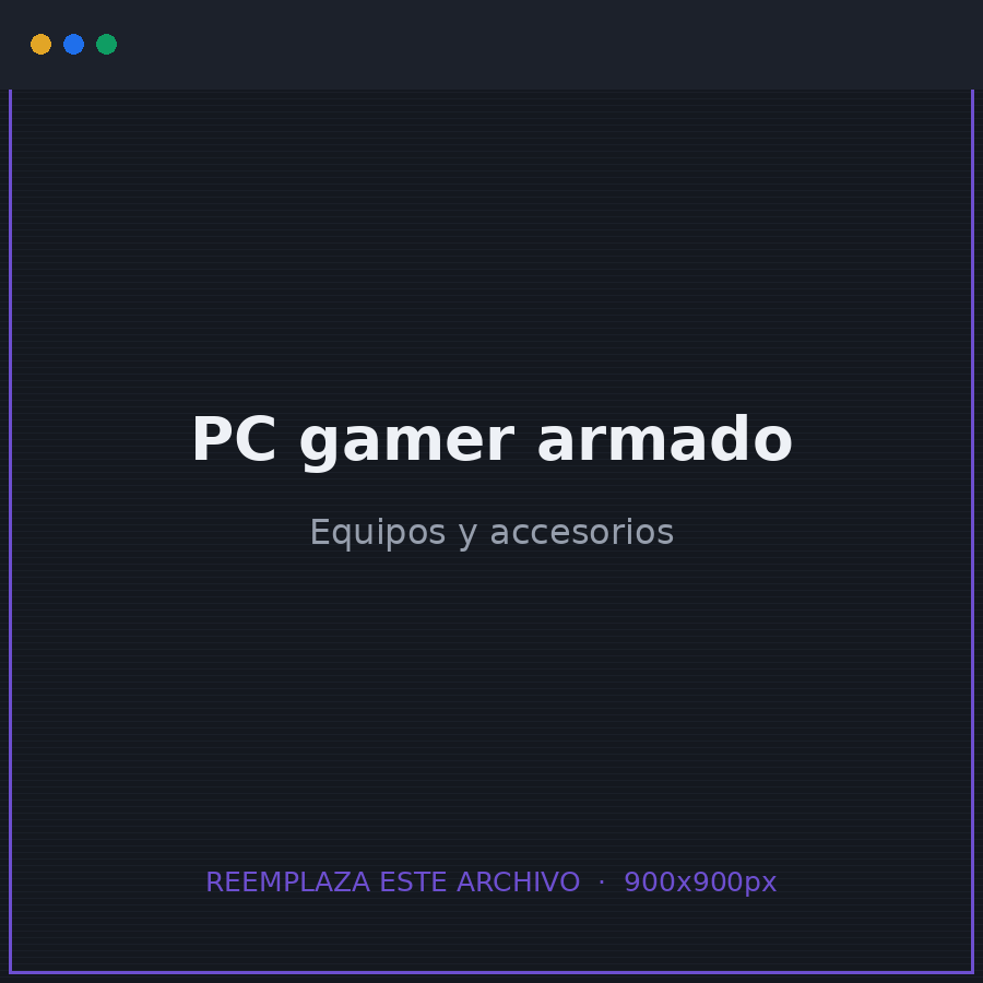 PC gamer